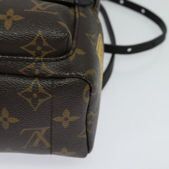LOUIS VUITTON Monogram World Tour Palm Springs Shoulder Bag M42971 - Picture 13 of 16